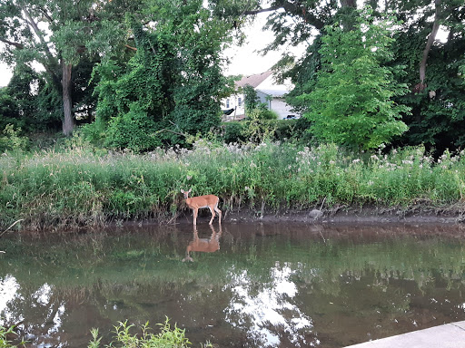Memorial Park «Veterans Memorial Park», reviews and photos, 7619 Memphis Ave, Brooklyn, OH 44144, USA