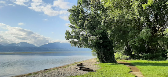 Plage du Stand