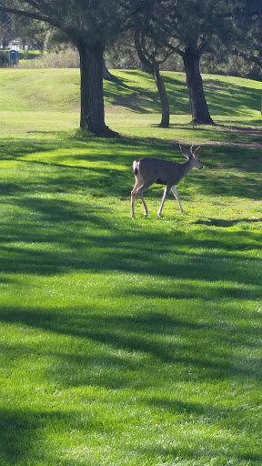 Golf Course «Laguna Lake Municipal Golf Course», reviews and photos, 11175 Los Osos Valley Rd, San Luis Obispo, CA 93405, USA