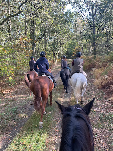 Centre équestre Ferme Equestre de la Boue Bouzy-la-Forêt