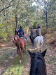 Ferme Equestre de la Boue Bouzy-la-Forêt