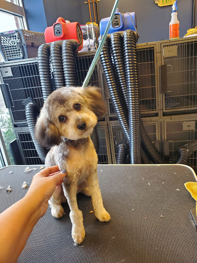 Pet Store «Healthy Pets Mountain West», reviews and photos, 2352 Fort Union Blvd, Cottonwood Heights, UT 84121, USA