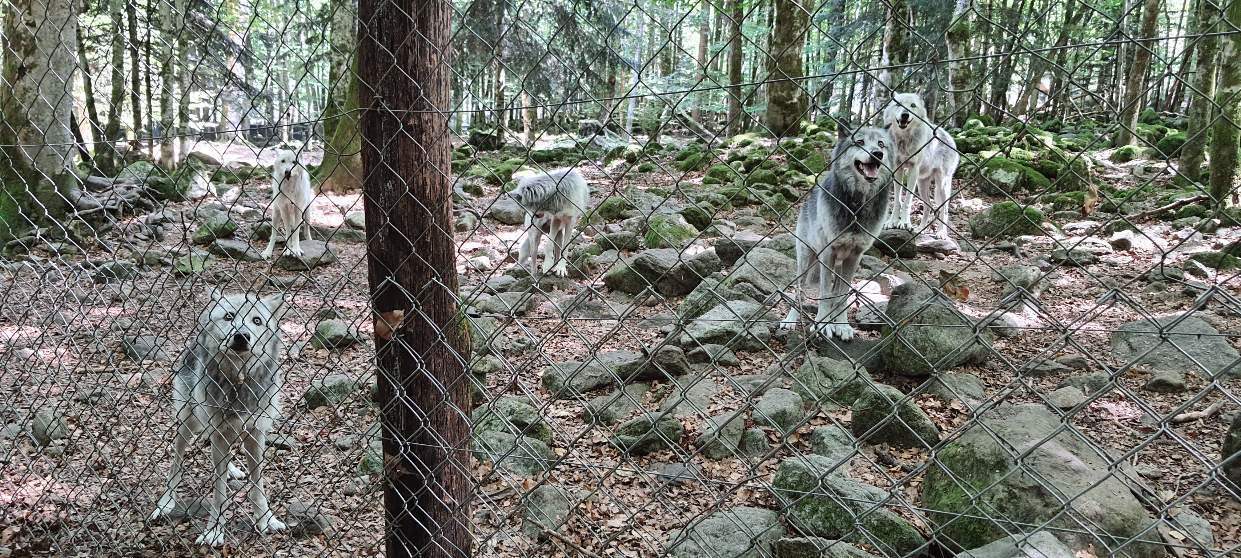 Photo n° 2 de l'avis de Laetitia. fait le 09/08/2020 à 15:15