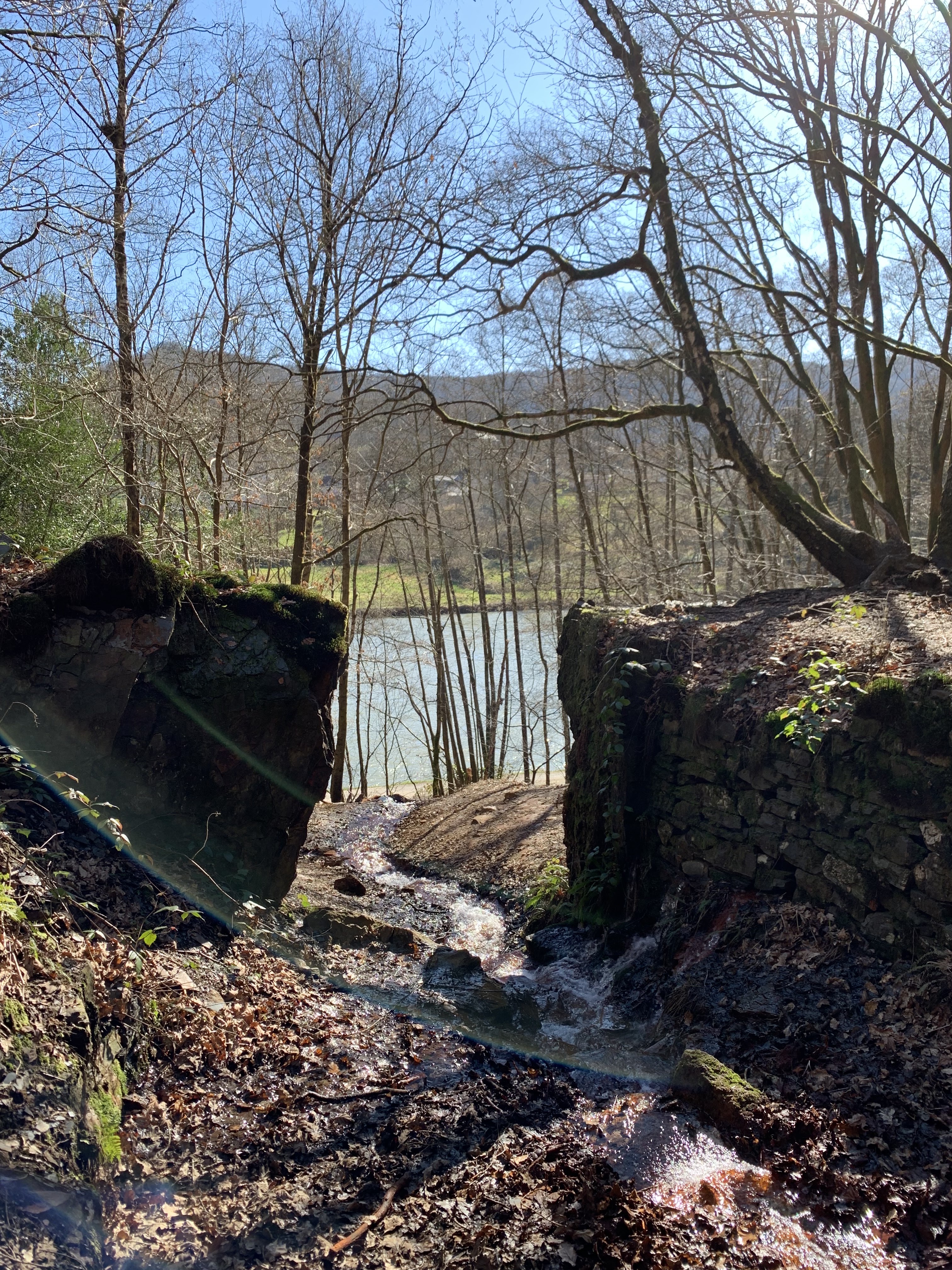 Photo n° 3 de l'avis de Jérémy.a fait le 27/02/2022 à 20:03