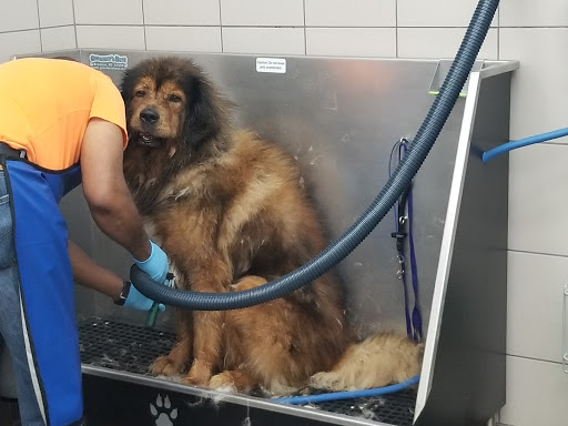 Pet Supply Store «Pet Supplies Plus», reviews and photos, 135-25 79th St, Howard Beach, NY 11414, USA