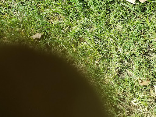 Park «Watkins Park», reviews and photos, 2360 Doctor M.L.K. Jr St, Indianapolis, IN 46208, USA