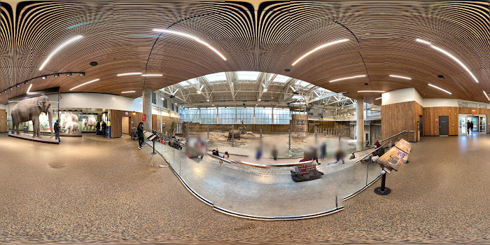 Zoo near Capitol Hill Motel