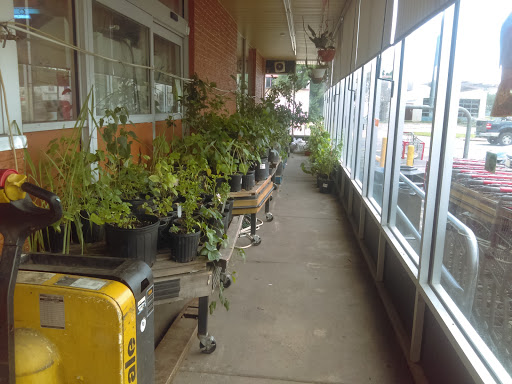 Asian Grocery Store «Kim Son Asian Food Market», reviews and photos, 960 E Pawnee St, Wichita, KS 67211, USA