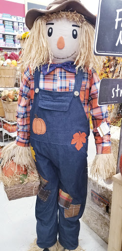 Craft Store «Michaels», reviews and photos, 3521 Clemson Blvd, Anderson, SC 29621, USA