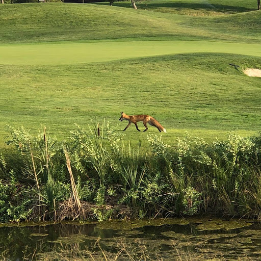 Golf Club «Stonebridge Golf Club», reviews and photos, 4415 Links Dr, West Valley City, UT 84120, USA