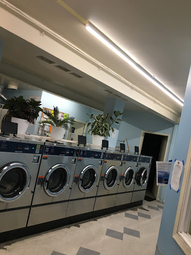 Family Laundry: Premium Wash & Fold Delivery