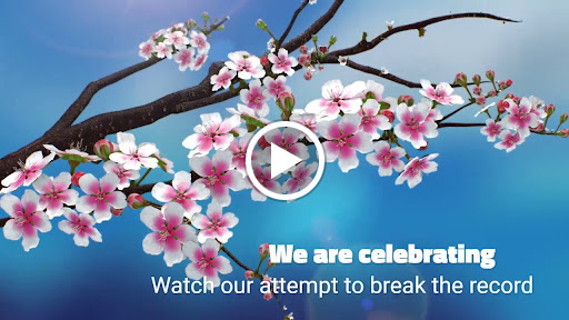 Florist «Colonial Florist», reviews and photos, 4160 Curry Ford Rd, Orlando, FL 32806, USA