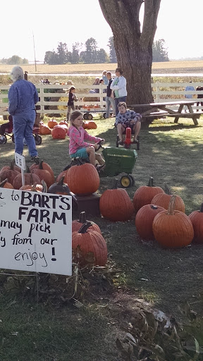 Pumpkin Patch «Barts Farm and Pumpkin Patch», reviews and photos, 7307 Alburnett Rd, Marion, IA 52302, USA