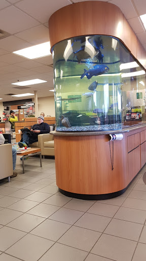 Toyota Dealer «Maplewood Toyota», reviews and photos, 2873 Maplewood Dr, Maplewood, MN 55109, USA