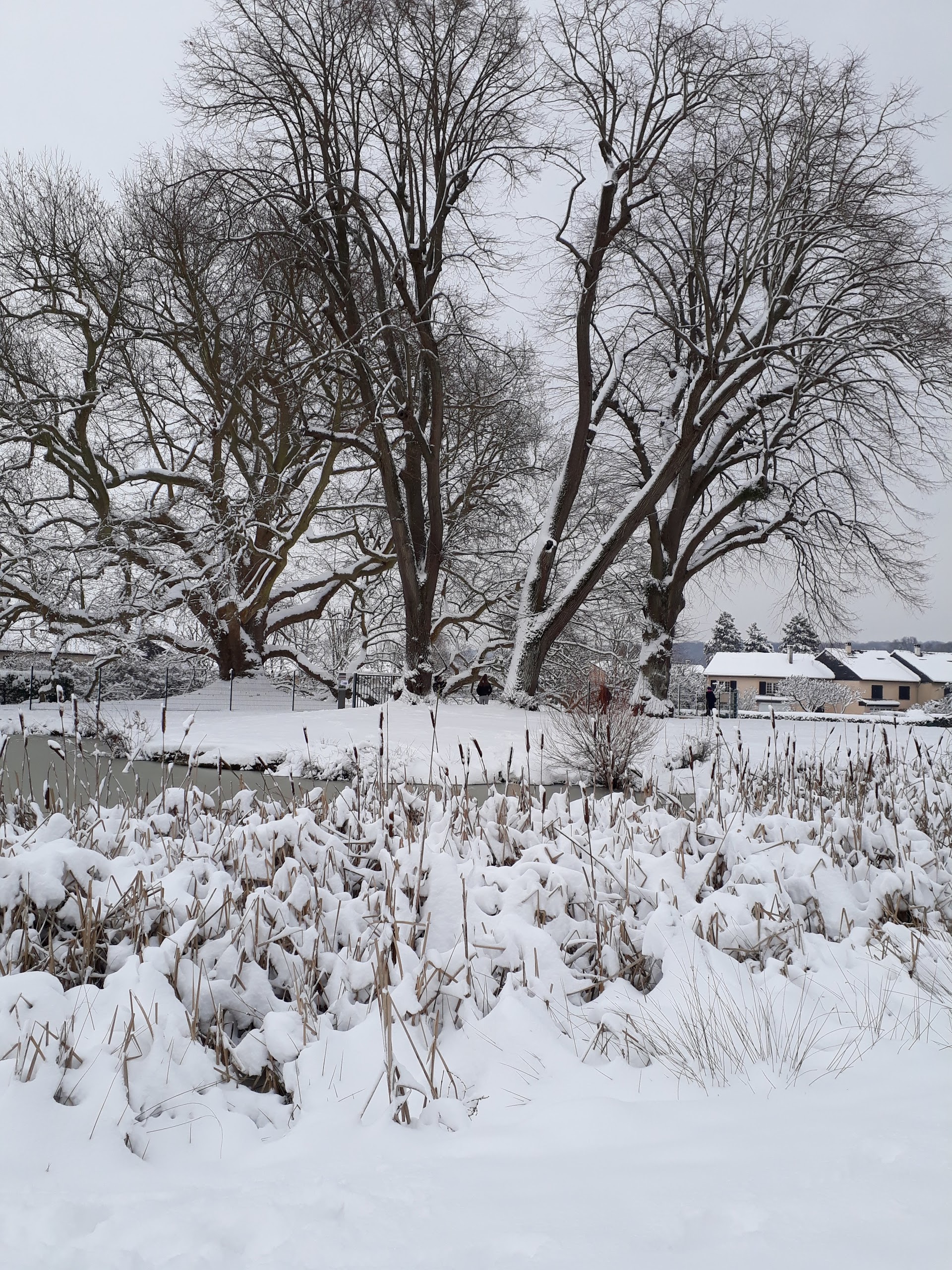 Photo n° 2 de l'avis de Aurelie.r fait le 08/02/2018 à 00:04