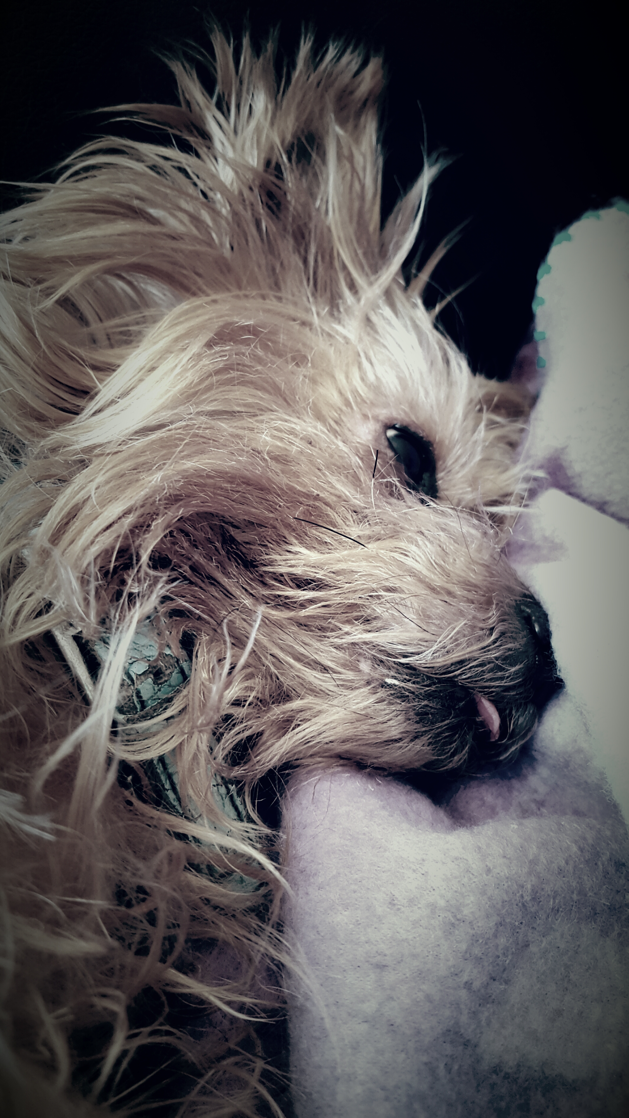Photo n° 1 de l'avis de Sylvie.a fait le 11/03/2017 à 15:52