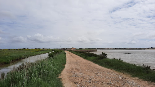 Fort Lapointe à Fouras