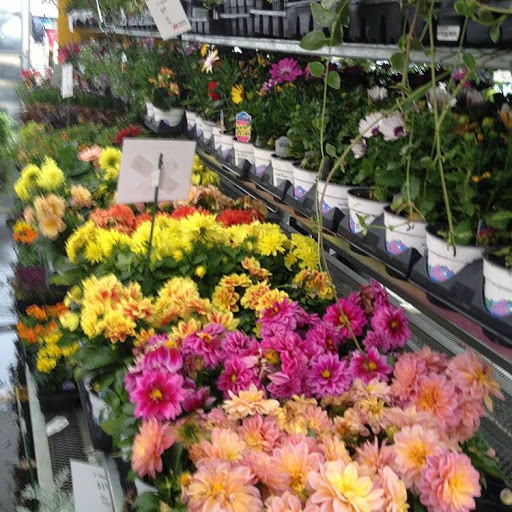 Hardware Store «Ace Hardware-Alameda Station», reviews and photos, 417 S Broadway, Denver, CO 80209, USA