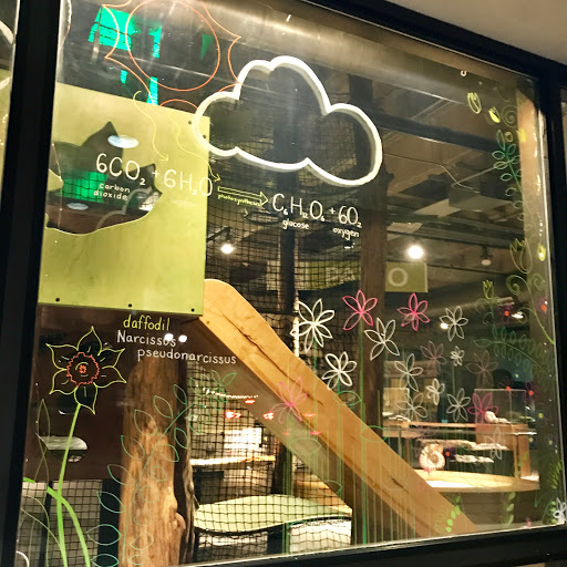 Science Museum «Asheville Museum of Science», reviews and photos, 43 Patton Ave, Asheville, NC 28801, USA