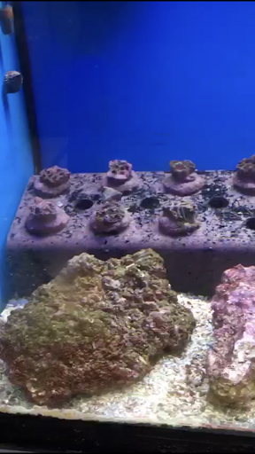 Pet Supply Store «Petco Animal Supplies», reviews and photos, 3401 Pineville-Matthews Rd, Charlotte, NC 28226, USA