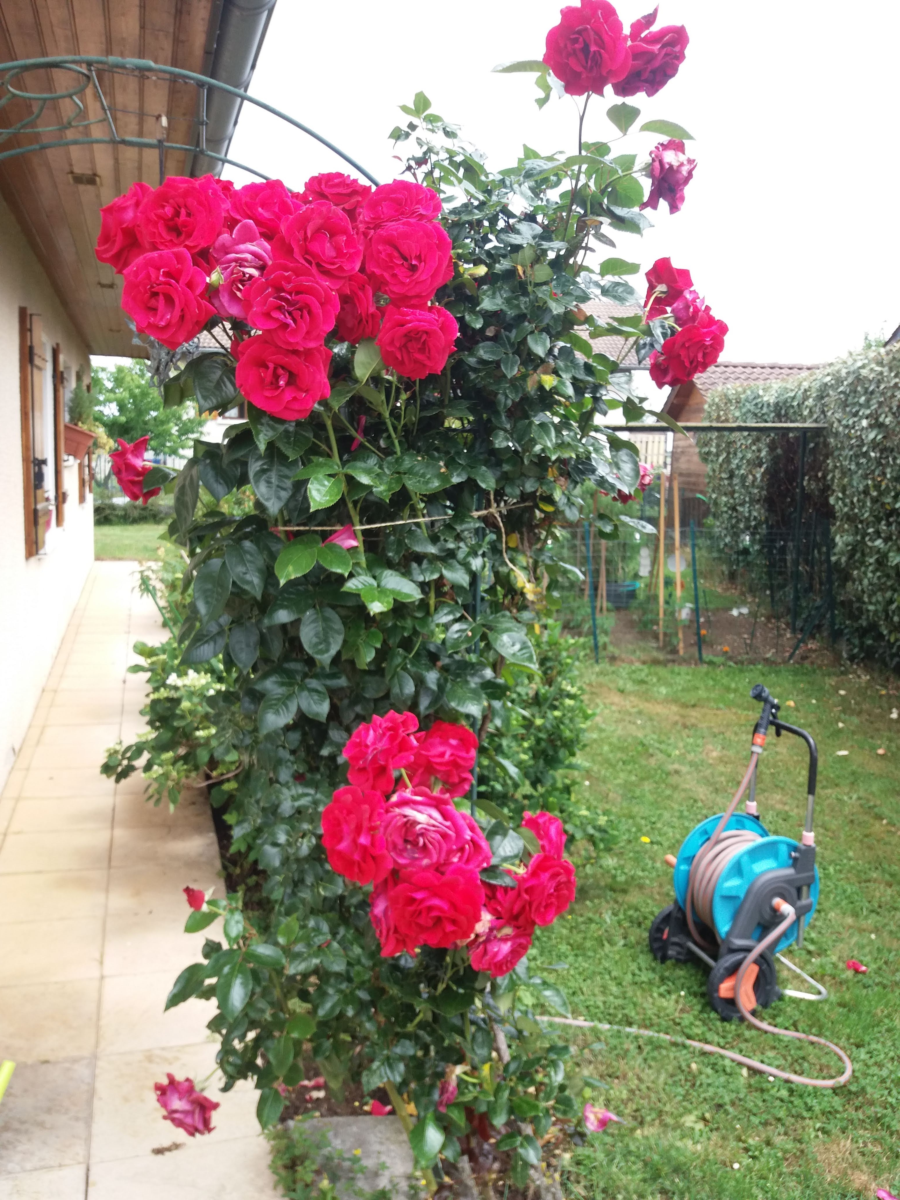Photo n° 3 de l'avis de Ines.a fait le 22/06/2023 à 21:07