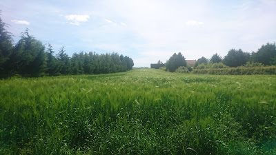 Croustad'Oc à Gimont