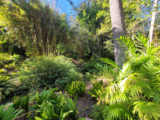 UCLA Mildred E. Mathias Botanical Garden