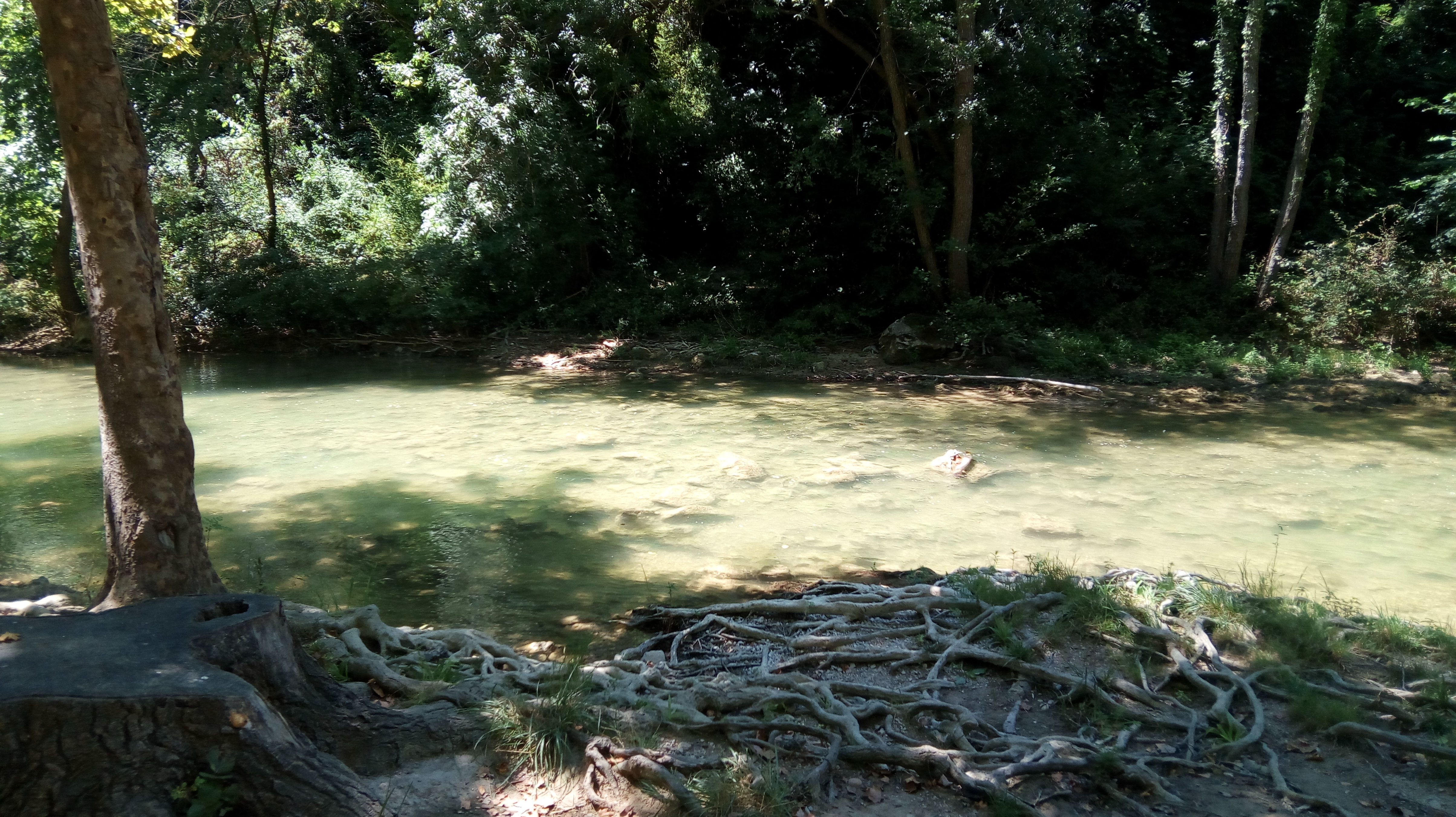 Photo n° 11 de l'avis de balades. fait le 11/07/2018 à 13:22