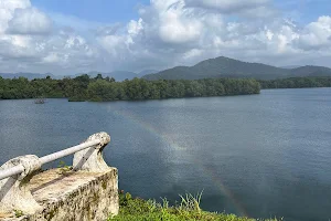 Salaulim Dam image