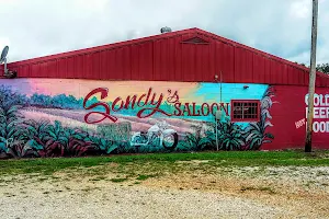 Sandy's Saloon image