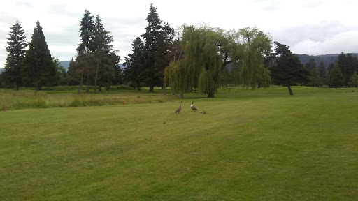 Golf Club «Emerald Valley Golf Club», reviews and photos, 83301 Dale Kuni Rd, Creswell, OR 97426, USA