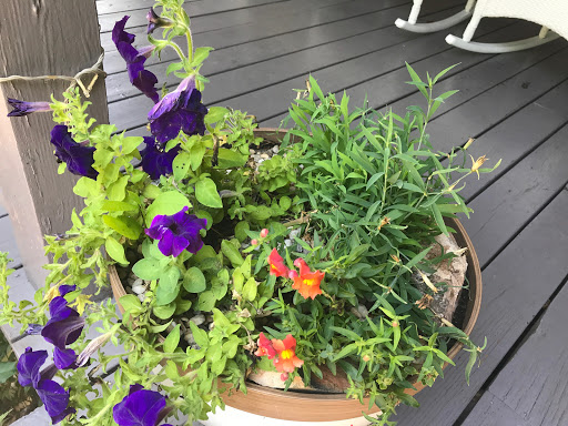 Chiropractor «Sacred Mother Healing Center», reviews and photos, 1025 Canton St, Roswell, GA 30075, USA