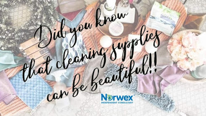 Michelle Curry, Norwex Independent Consultant