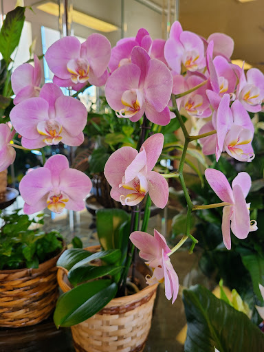 Florist «THE ROSE BOUTIQUE», reviews and photos, 955 Cincinnati Ave, San Antonio, TX 78201, USA