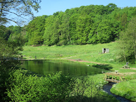 Lundum Lystfiskersø