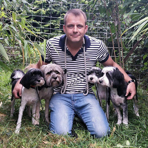 Andrew Treserden The Dog Translator - Maidstone