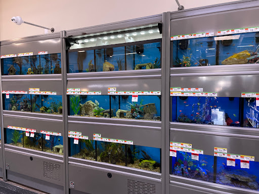 Pet Supply Store «Pet Supplies Plus», reviews and photos, 1012 W Hebron Pkwy #120, Carrollton, TX 75010, USA