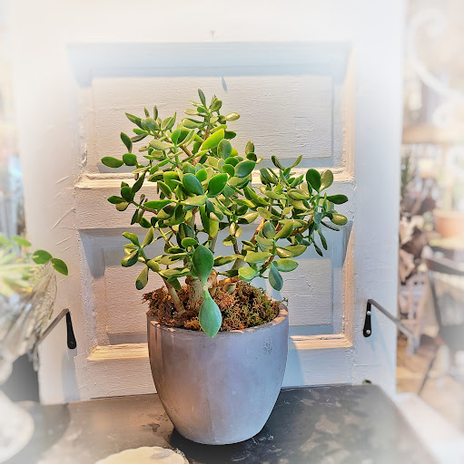 Florist «Buss Flower Shop», reviews and photos, 322 N Milwaukee Ave, Libertyville, IL 60048, USA