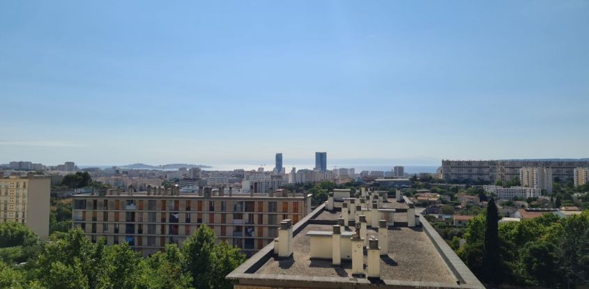 Gary DELGADO-CORONEL - IAD Marseille 4ème arrondissement à Marseille