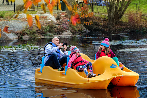 Non-Profit Organization «Jewish Community Center», reviews and photos, 1035 Newfield Ave, Stamford, CT 06905, USA