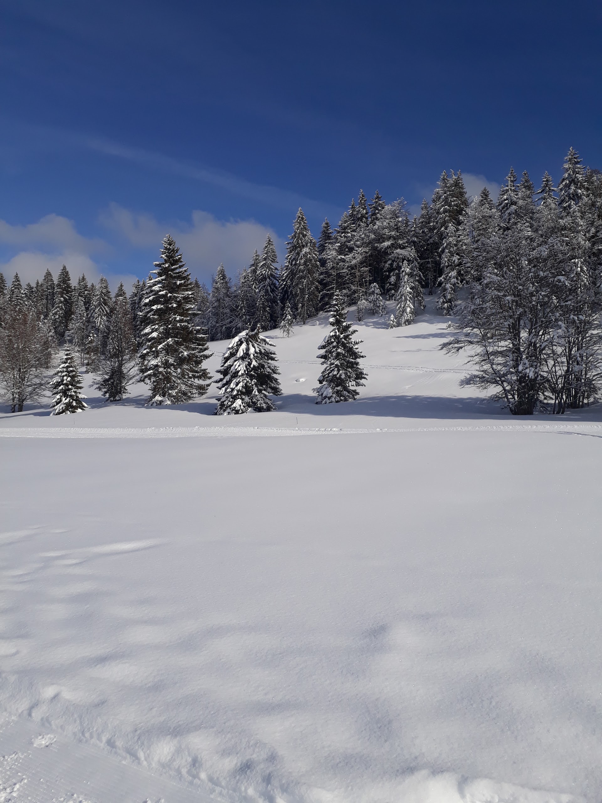 Photo n° 27 de l'avis de René.a fait le 15/02/2018 à 14:43