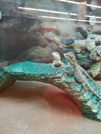 Pet Supply Store «Petco Animal Supplies», reviews and photos, 753 53rd Ave NE, Fridley, MN 55421, USA