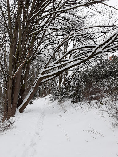 Park «Lewis Park», reviews and photos, 1120 15th Ave S, Seattle, WA 98144, USA