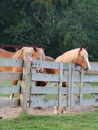 Theme Park «Frontier Town Western Theme Park», reviews and photos, 8428 Stephen Decatur Hwy, Berlin, MD 21811, USA