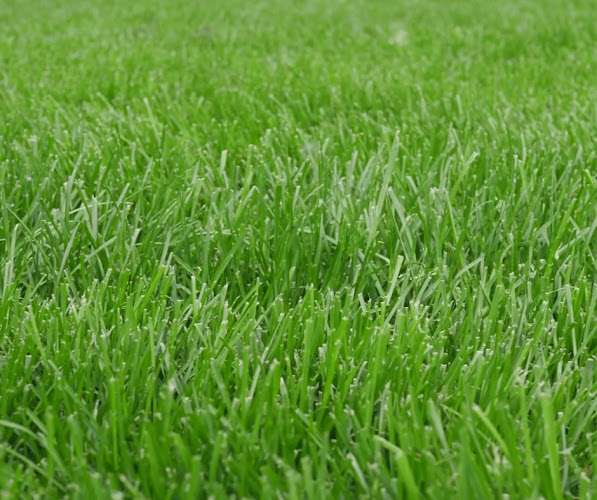 Reviews of Moorlands Lawn Care in Stoke-on-Trent - Landscaper