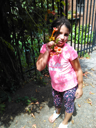 Antique Store «Downtown Antiques Mall», reviews and photos, 1 Court Square, West Plains, MO 65775, USA