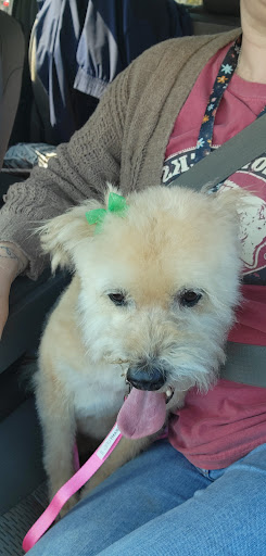 Pet Supply Store «Petsense Batesville», reviews and photos, 45 Eagle Mountain Blvd, Batesville, AR 72501, USA