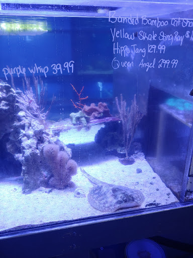 Pet Supply Store «House of Pets Inc», reviews and photos, 29500 Ford Rd, Garden City, MI 48135, USA