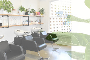 Z and Co Hair Boutique