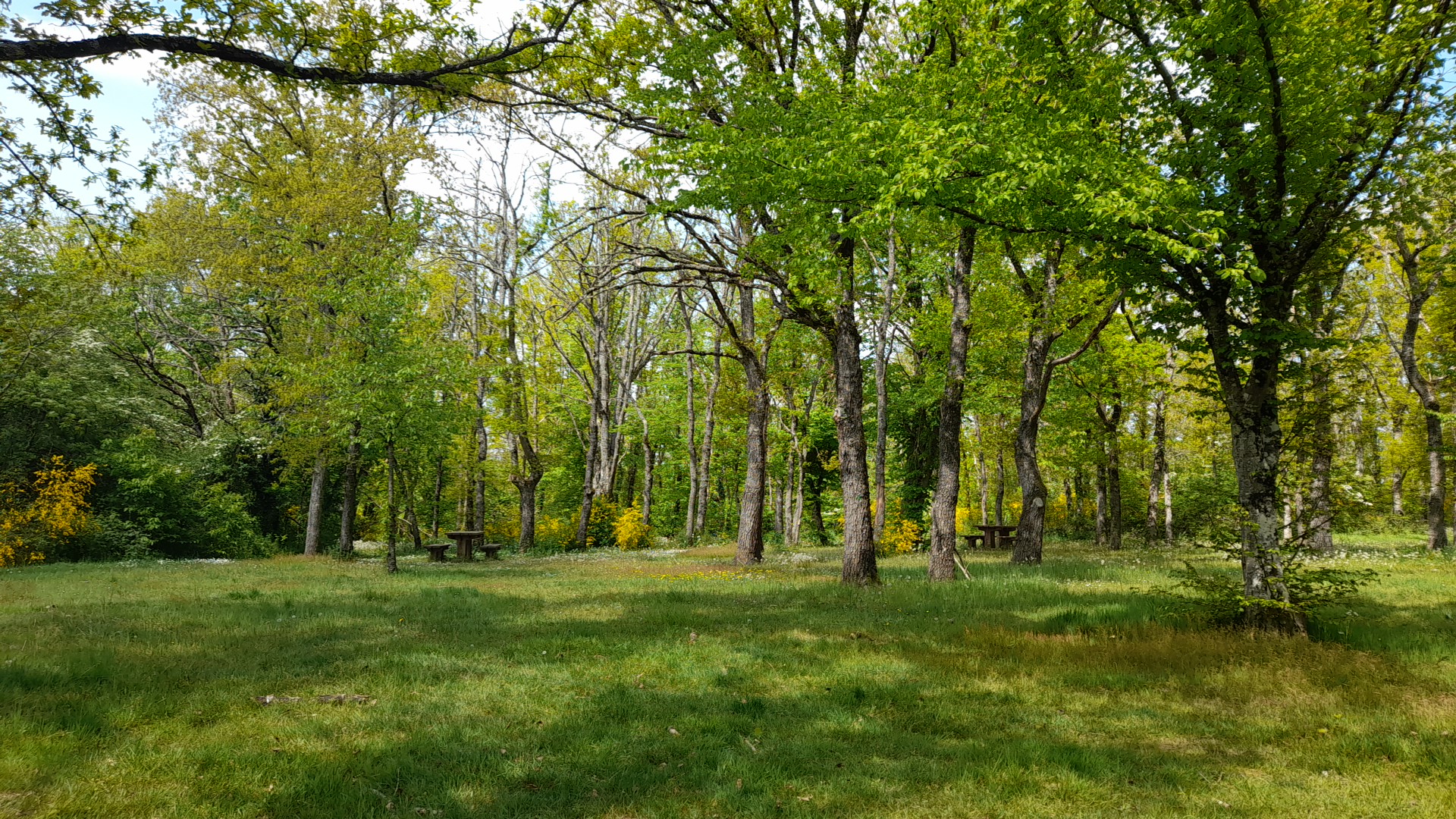 Photo n° 1 de l'avis de Stéphane. fait le 01/05/2022 à 10:31